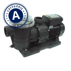 Pompe De Piscine STP 100 Reconditionnée (A)